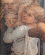 Fra Filippo Lippi Details of  Madonna and Child with Two Angels oil painting artist